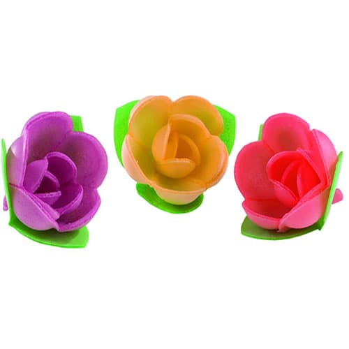 Roses mini-corolle vive