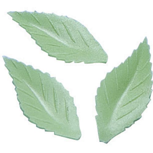 Feuilles de rose